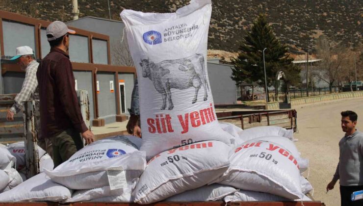 Büyükşehir’in üreticilere yem desteği sürüyor