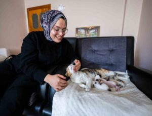 Camiye sığınan kedi ve yavruları yeni yuvasına kavuştu