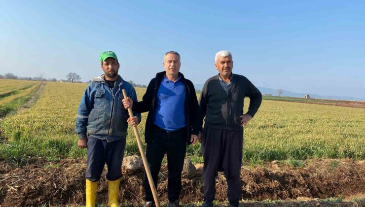 Çiftçiler yağmur yağmadığı için tarlalarını sulamaya başladı