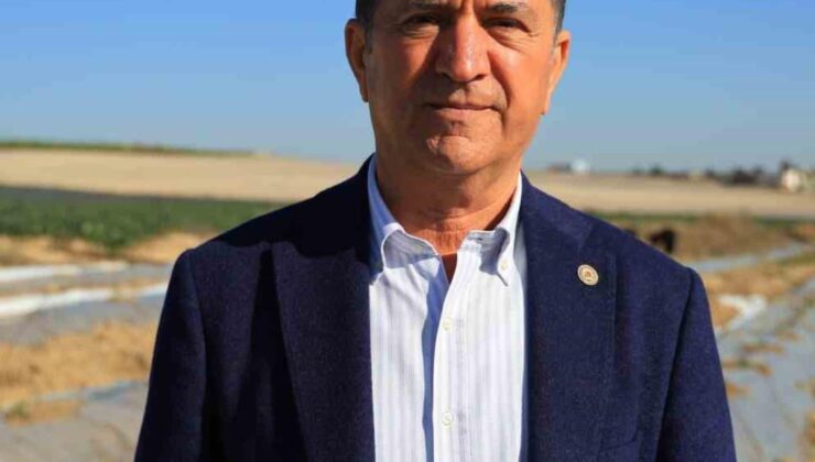 Doğan: “Baharın bereketi, Çukurova’nın üretken elleriyle yeniden filizleniyor”