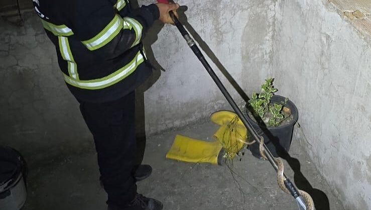 Dörtyol’da eve giren yılanı itfaiye yakaladı