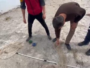 Eğirdir Gölü’nde yasa dışı avcılık yapan 7 kişiye ceza kesildi