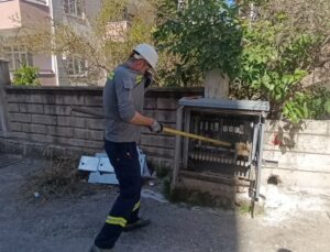 Elektrik baksına giren kedi akıma kapılarak  telef oldu