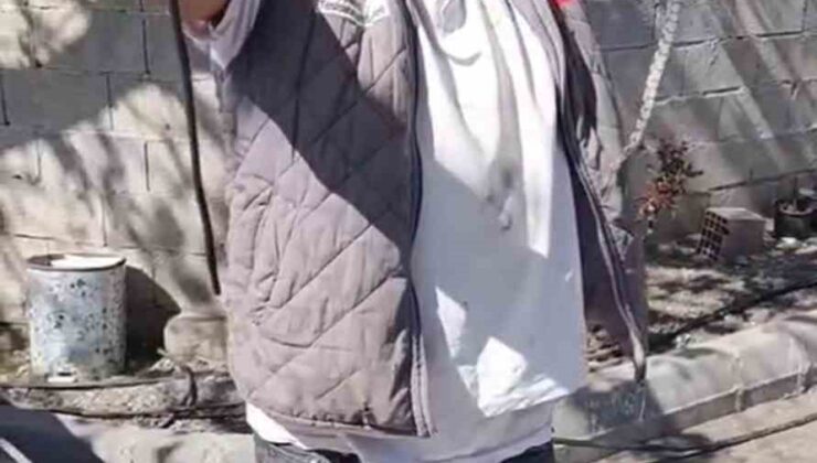 Eve giren yavru yılanı vatandaşlar yakaladı