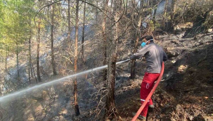 Gazipaşa’daki orman yangını kontrol altına alındı