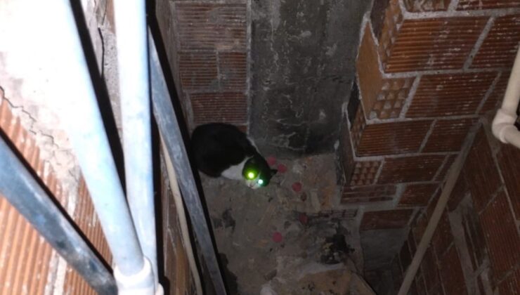 Havalandırma boşluğuna düşen kediyi itfaiye kurtardı