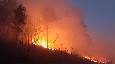 İskenderun’da ormanlık alanda yangın