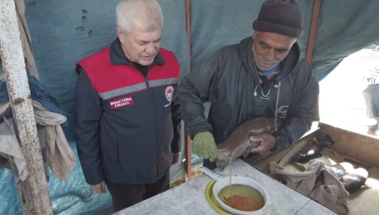 Isparta’da Alabalık sağımı tamamlanıyor: 110 Milyon yavru üretildi