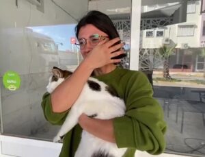 Kedisi mahsur kalan genç kız önce üzüntüden, sonra da sevinçten ağladı