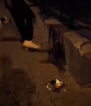 Kediye tekme atan vicdansız gözaltına alındı