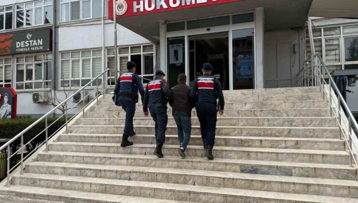 Mersin’de 16 hayvanı çalan şüpheli yakalanıp tutuklandı