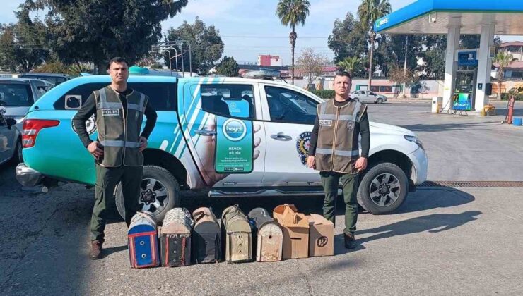 Mersin’de bahis için dövüştürülen 7 horoz koruma altına alındı