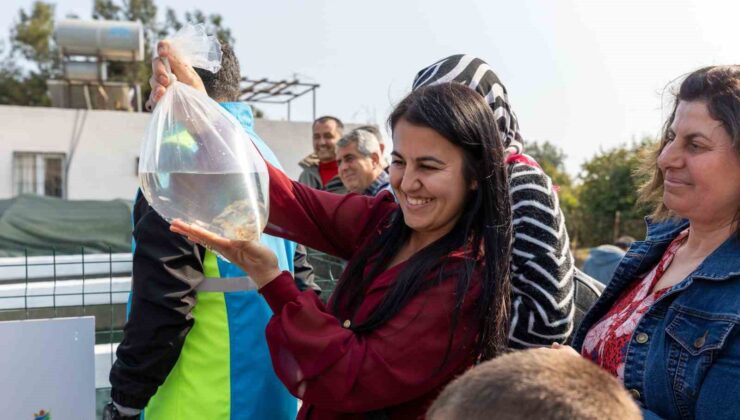 Mersin’de kadınlar haşere mücadelesi için lepistes balığı yetiştirecek