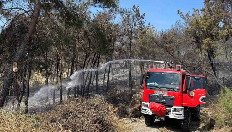 Mersin’de orman yangını: 1,5 hektar alan zarar gördü