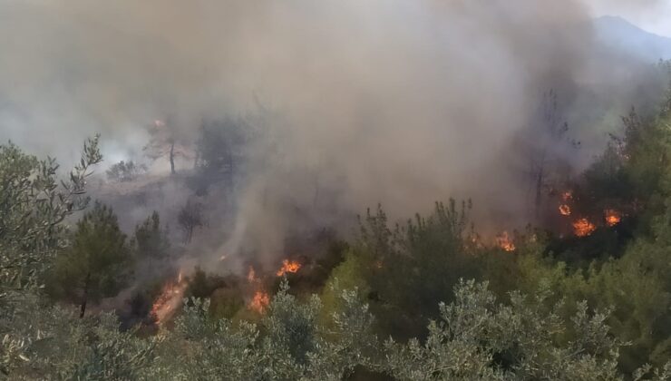 Osmaniye’de ormanlık alanda korkutan yangın