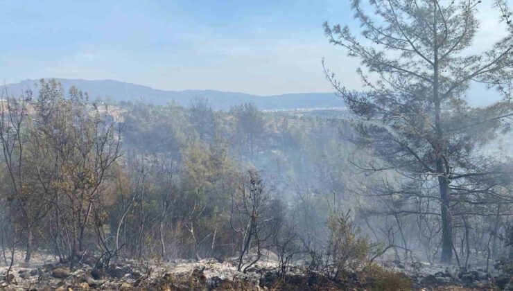 Osmaniye’nin Düziçi ilçesinde çıkan orman yangını söndürüldü