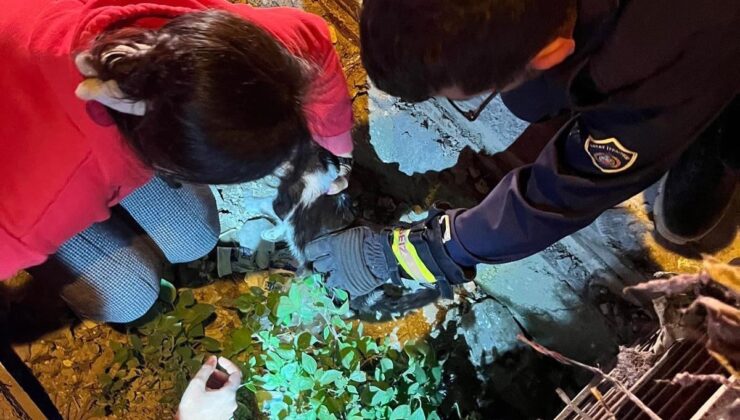 Yağmur suyu mazgalına sıkışan kediyi itfaiye kurtardı