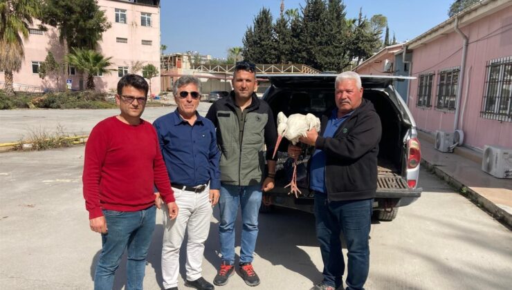 Yaralı leylek ormancılar tarafından kurtarıldı