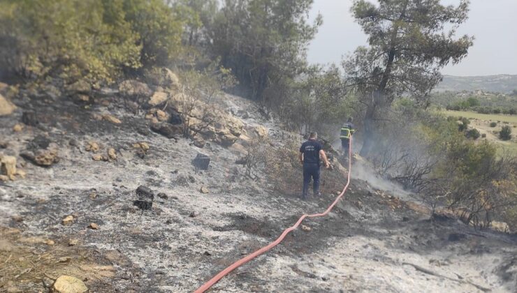 Yayladağı’nda ormanlık alanda yangın