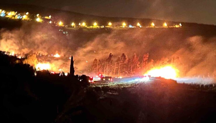 Arsuz’da çıkan orman yangını kontrol altına alındı