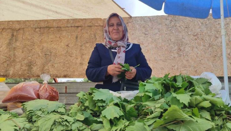 5 çocuk annesi, asma yaprağı satarak aile ekonomisine destek oluyor