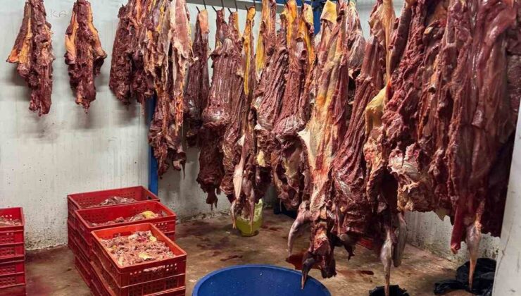 Adana’da 3 ton bozulmuş at eti ele geçirildi