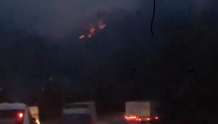 Adana’da iki noktada çıkan orman yangınları kontrol altına alındı