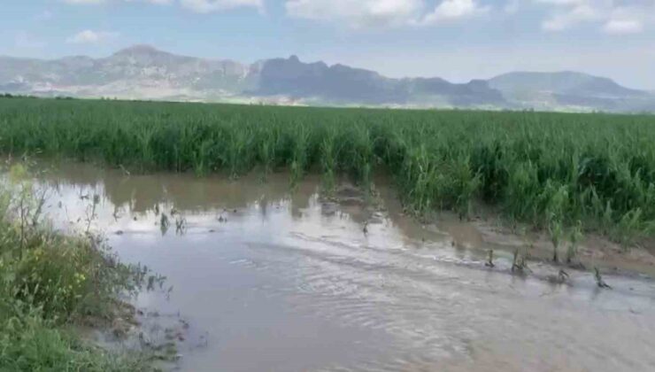 Adana’da şiddetli yağmur ve dolu, tarım ürünlerine zarar verdi