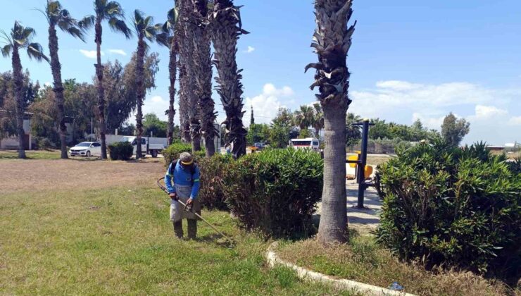 Akdeniz’de park ve bahçelere yaz bakımı