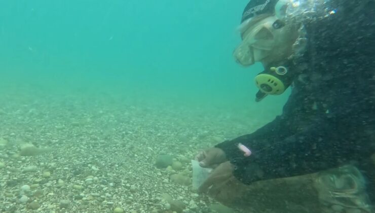 Antalya’da deniz dibindeki Hıdırellez dilekleri şaşırttı