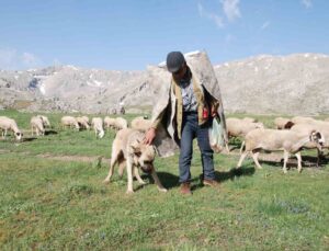 Antalya’da Yörüklerin yayla serüvenleri başladı