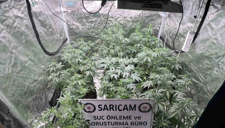 Apartman dairesine uyuşturucu serası kurmuşlar: 3 gözaltı