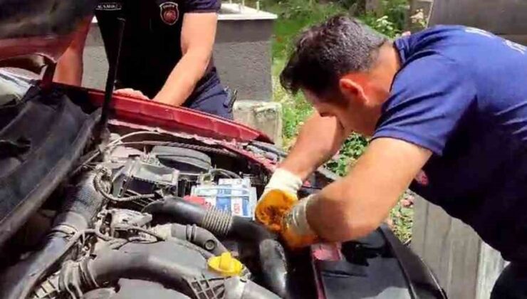 Araç motorundan çıkan sürpriz yüzleri gülümsetti