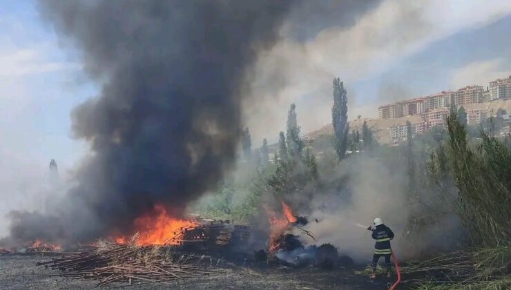 Bahçede çıkan yangın itfaiye tarafından söndürüldü