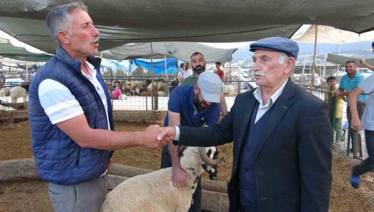 Bayram yaklaştı, kurban pazarında kıran kırana pazarlık başladı