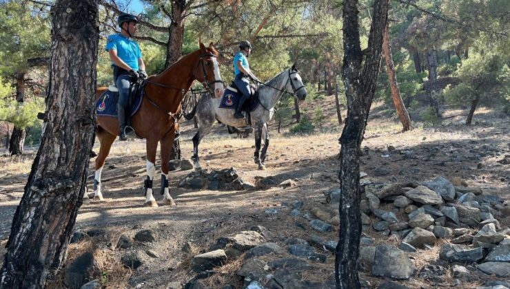 Burdur’da 1 Haziran – 1 Kasım tarihleri arasında ormanlık alanlara girişler yasaklandı