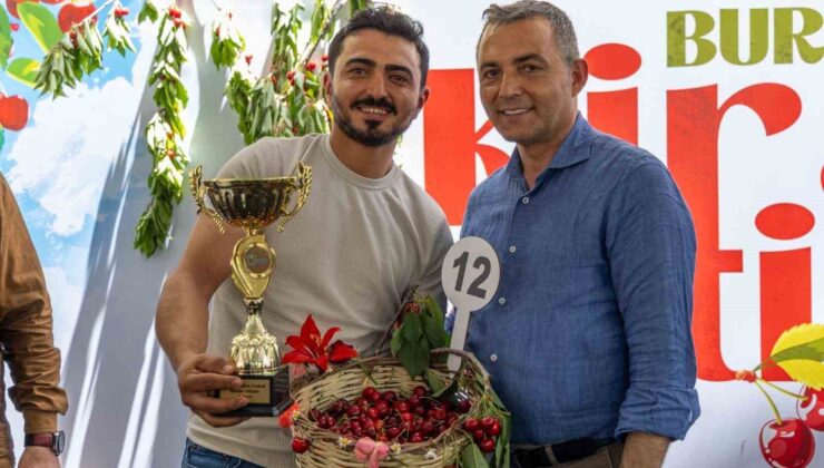 Burmahan’da ilk kez kiraz festivali düzenlendi