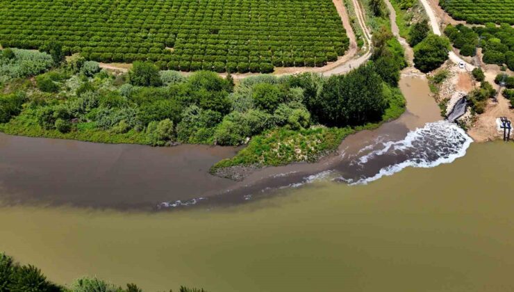 Ceyhan Nehri kirlilikten köpürdü