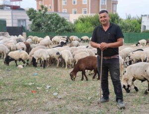 Depremzede vatandaşların memleketlerine dönüşü kurbanlıklara olan rağbeti arttırdı