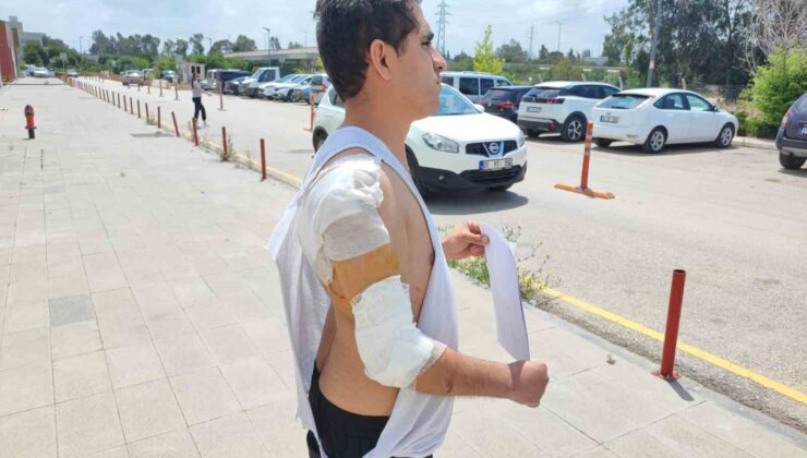 Hastaneye giderken kurt köpeğinin saldırısıyla yaralandı