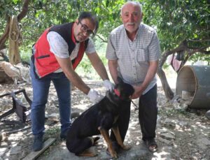 Hatay’da 4 mahallede kuduz karantinası