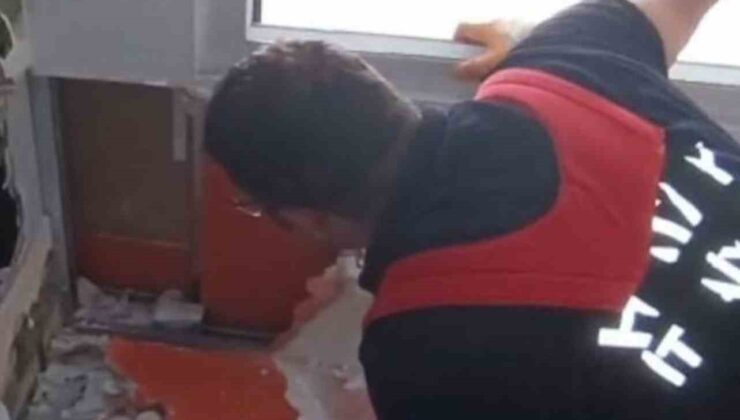 Havalandırma boşluğuna düşen kedi duvar kırılarak kurtarıldı
