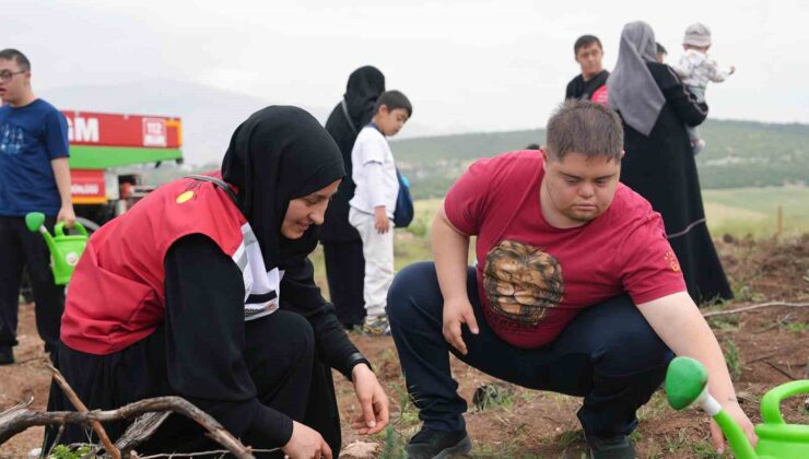 Kahramanmaraş’ta engelsiz orman
