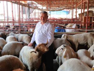 Kahramanmaraş’ta kurbanlık fiyatı birçok ilden ucuz: Kilosu 250 ile 295 TL arasında