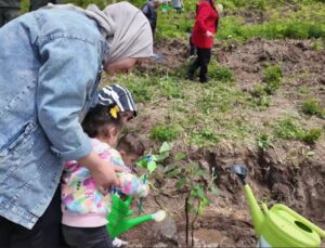 Koruyucu aileler adına 250 ıhlamur fidanı toprakla buluştu