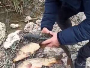 Kovada Gölü’nde kaçak avcılara 176 bin TL ceza uygulandı, ekipmanlara el konuldu