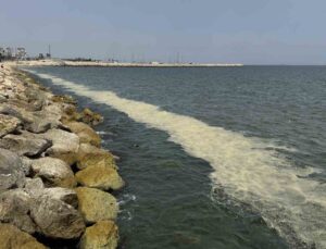 Mersin Körfezi’nde ’alg patlaması ve müsilaj kalıntıları’