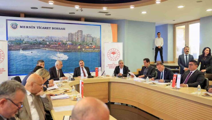 Mersin, ’Kuraklık Yönetim Planı’nı hazırlıyor