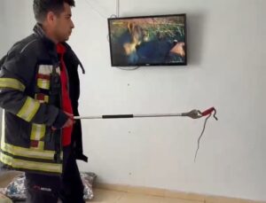 Mersin’de 2 gün önce eve giren yılanı itfaiye erleri bulup çıkarttı