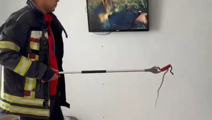 Mersin’de 2 gün önce eve giren yılanı itfaiye erleri bulup çıkarttı